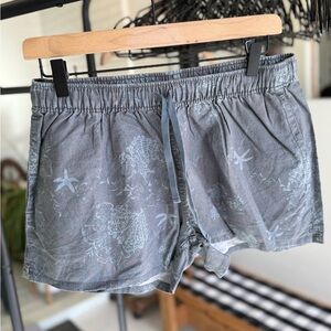 Patagonia Blue/Gray Outdoor Shorts